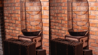 Stereograph